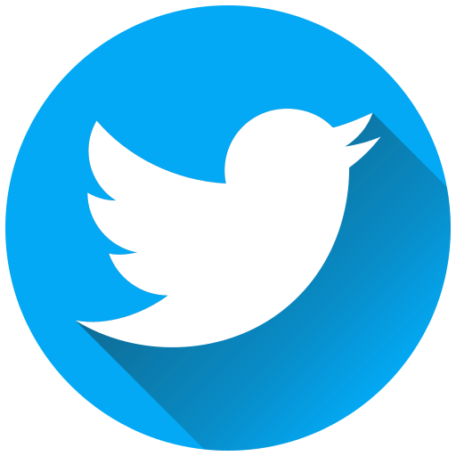 Twitter Link Logo